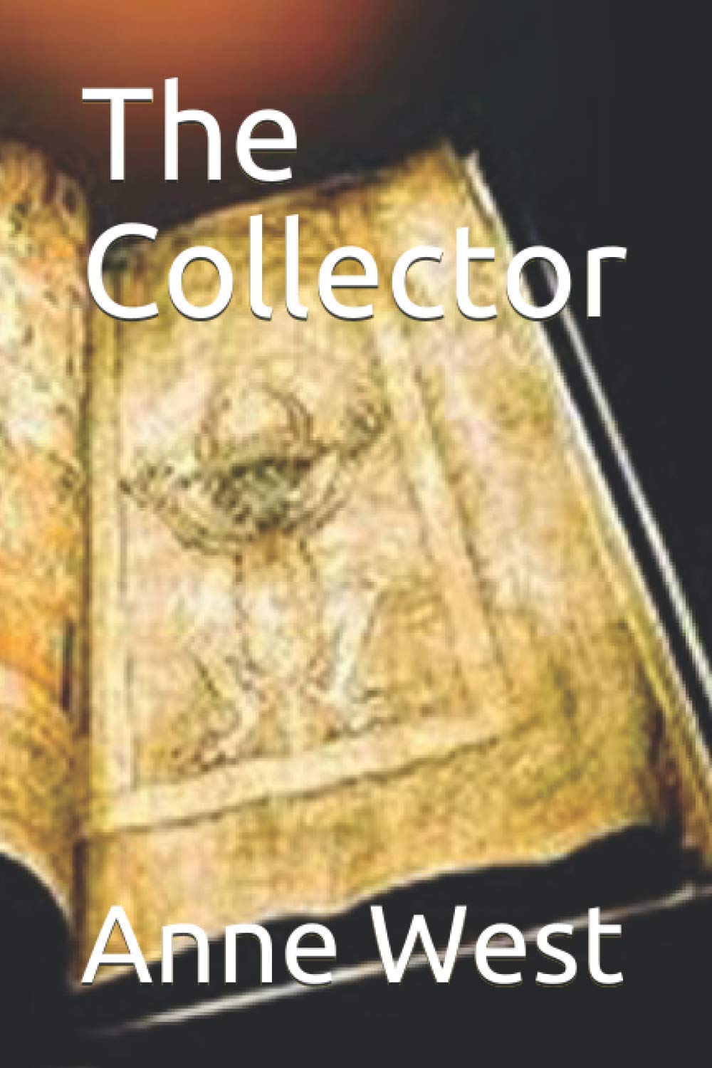 The Collector: 9 (Miles Stone Mysteries) book