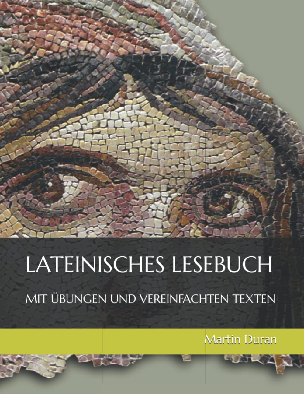 Lateinisches Lesebuch mit Übungen und vereinfachten Texten Foreign Languages ​​& Dictionaries