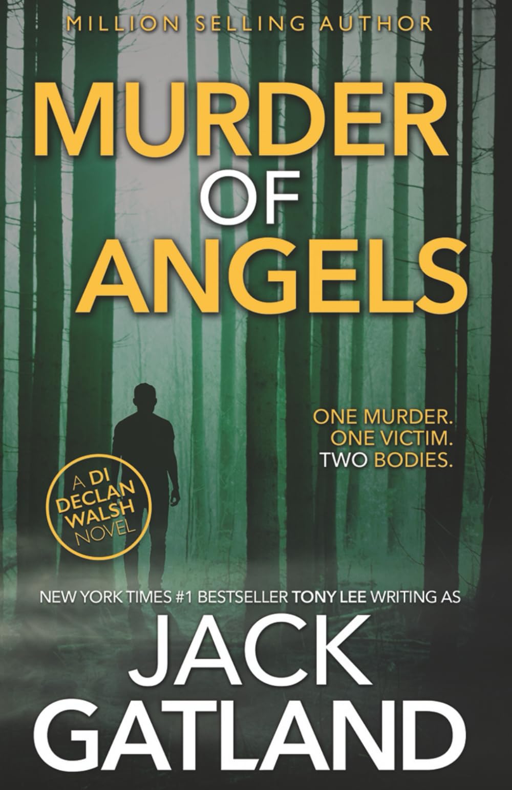 Murder Of Angels (Detective Inspector Declan Walsh Book 2) book