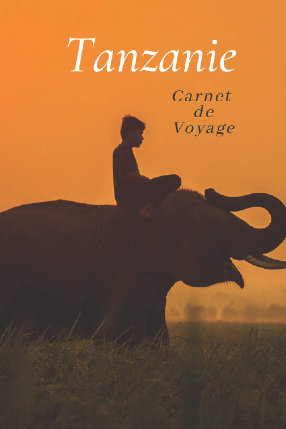 Carnet de voyage Tanzanie: Carnet de 100 pages avec pages pré-remplies et d’autres à remplir spéciale Tanzanie. Idée de cadeau original book