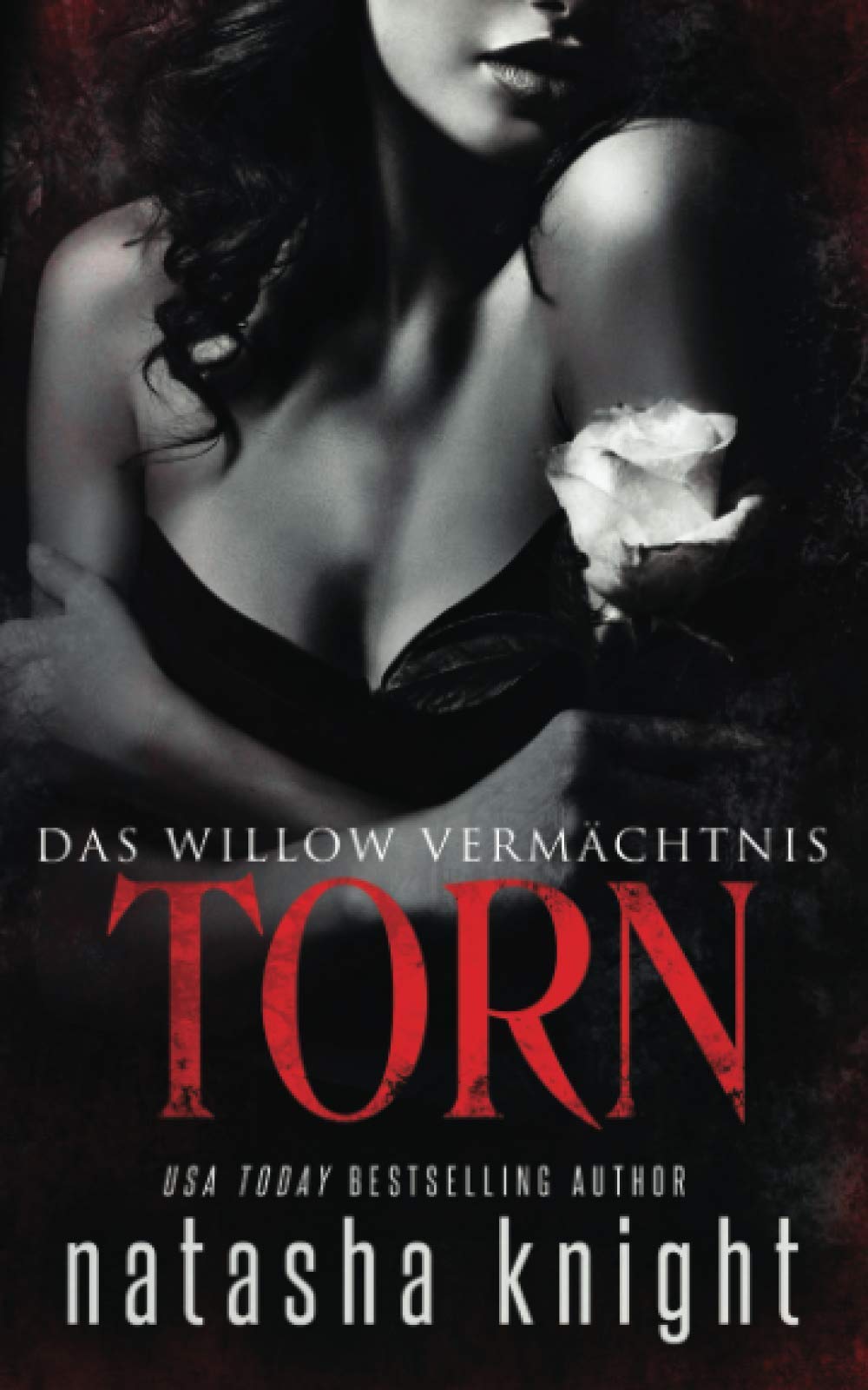 Torn: Das Willow Vermächtnis Contemporary literature