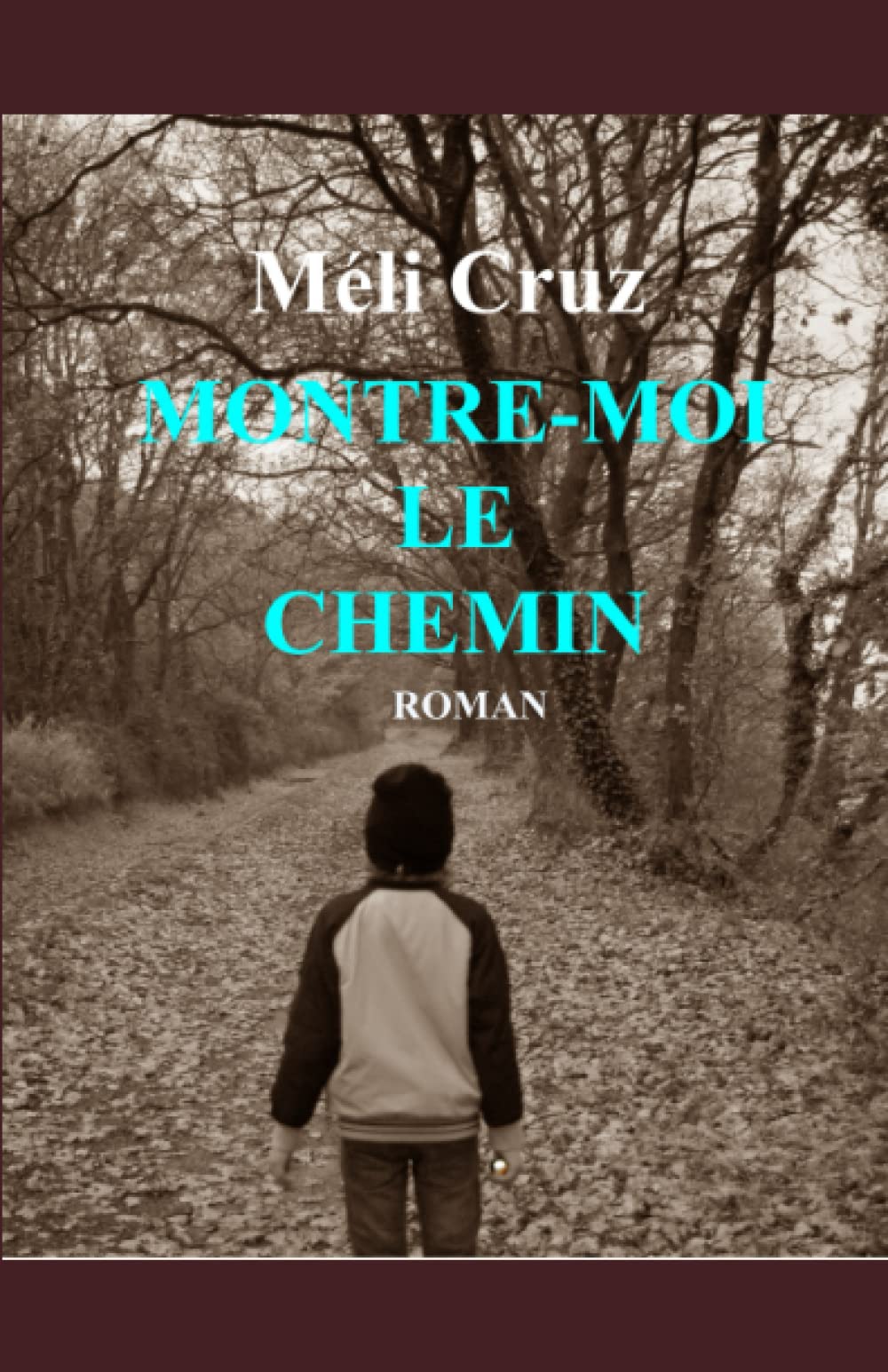 MONTRE-MOI LE CHEMIN: Qui n'a jamais levé les yeux au ciel pour trouver son chemin ? Horror & Mystery