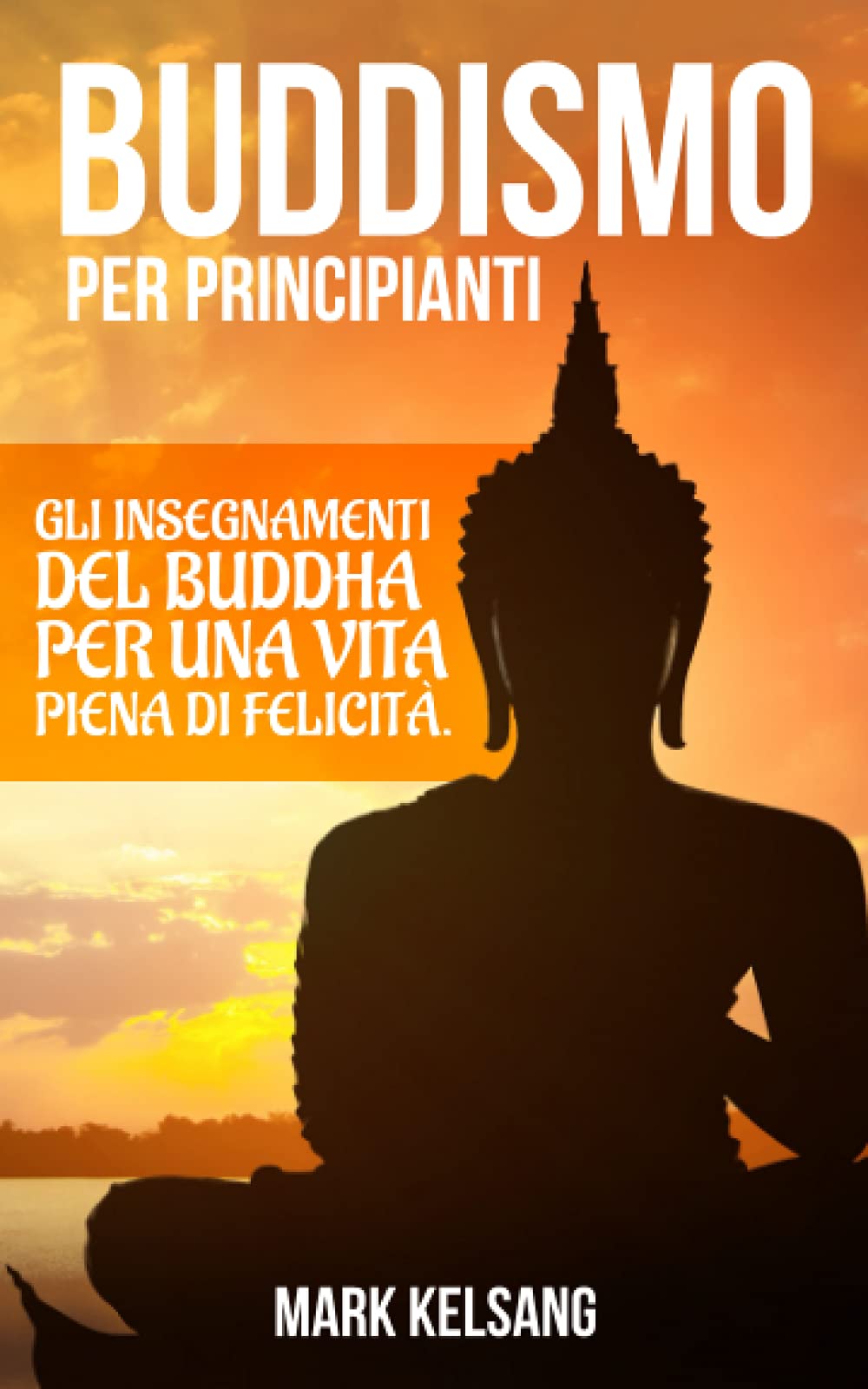 Buddismo per Principianti: gli insegnamenti del Buddha per una vita piena di felicità. Inizia un percorso interiore alla scoperta del buddismo e della tua mente, attraverso meditazione e pratiche zen book