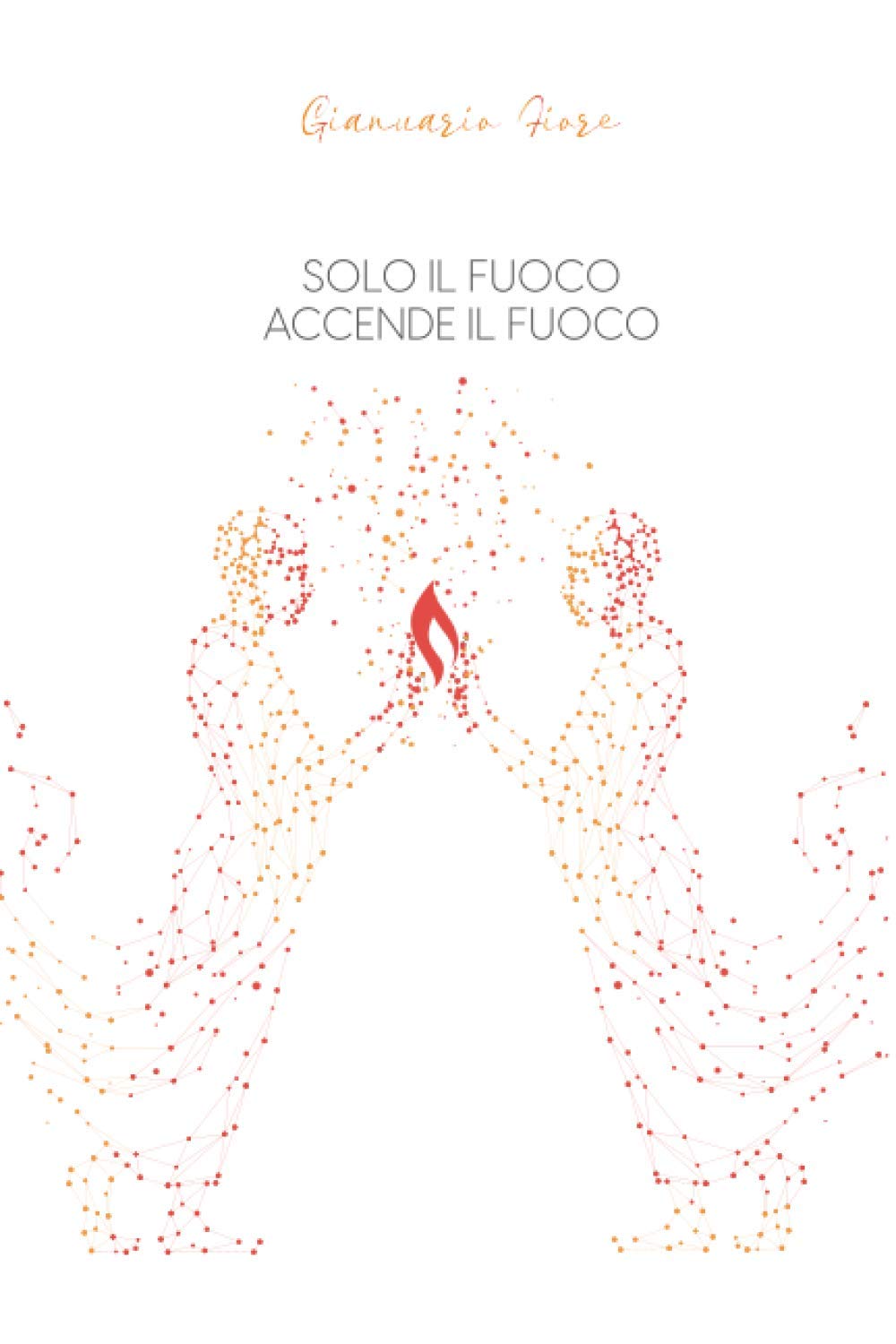Solo il fuoco accende il fuoco book