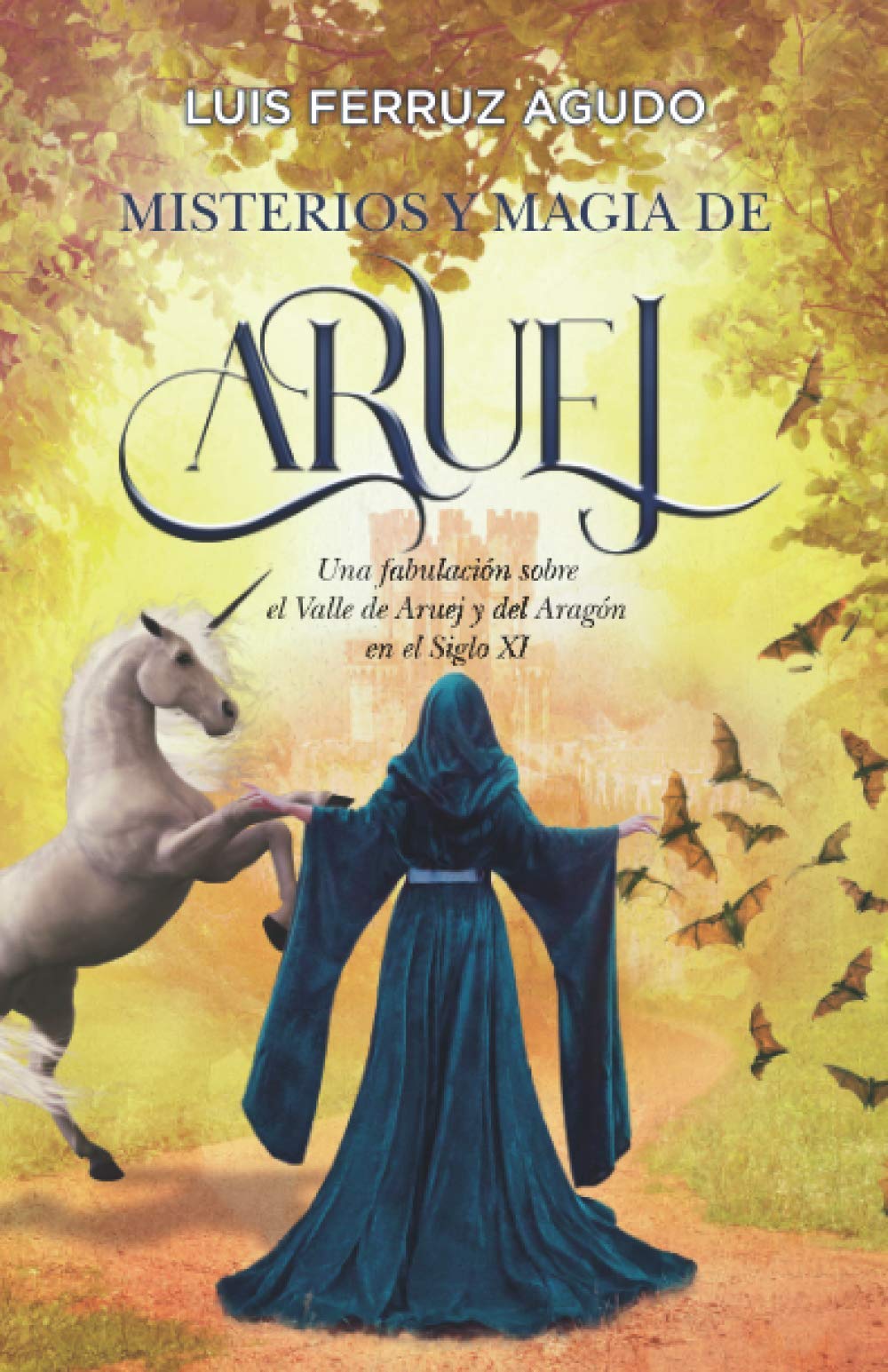 Misterios y magia de Aruej: Una fabulación sobre el Valle de Aruej y del Aragón en el Siglo XI book