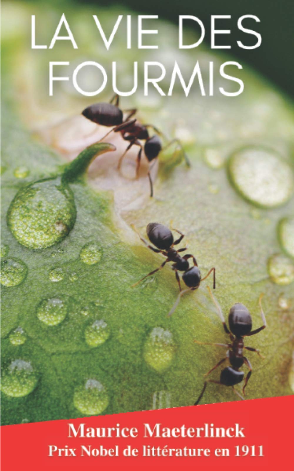 La Vie Des Fourmis: De Maurice Maeterlinck-un livre passionnant sur les fourmis-insecte-annoté biographie Professional & Reference Books