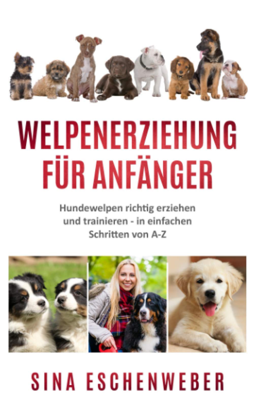 WELPENERZIEHUNG FÜR ANFÄNGER: Hundewelpen richtig erziehen und trainieren - in einfachen Schritten von AbisZ Pets