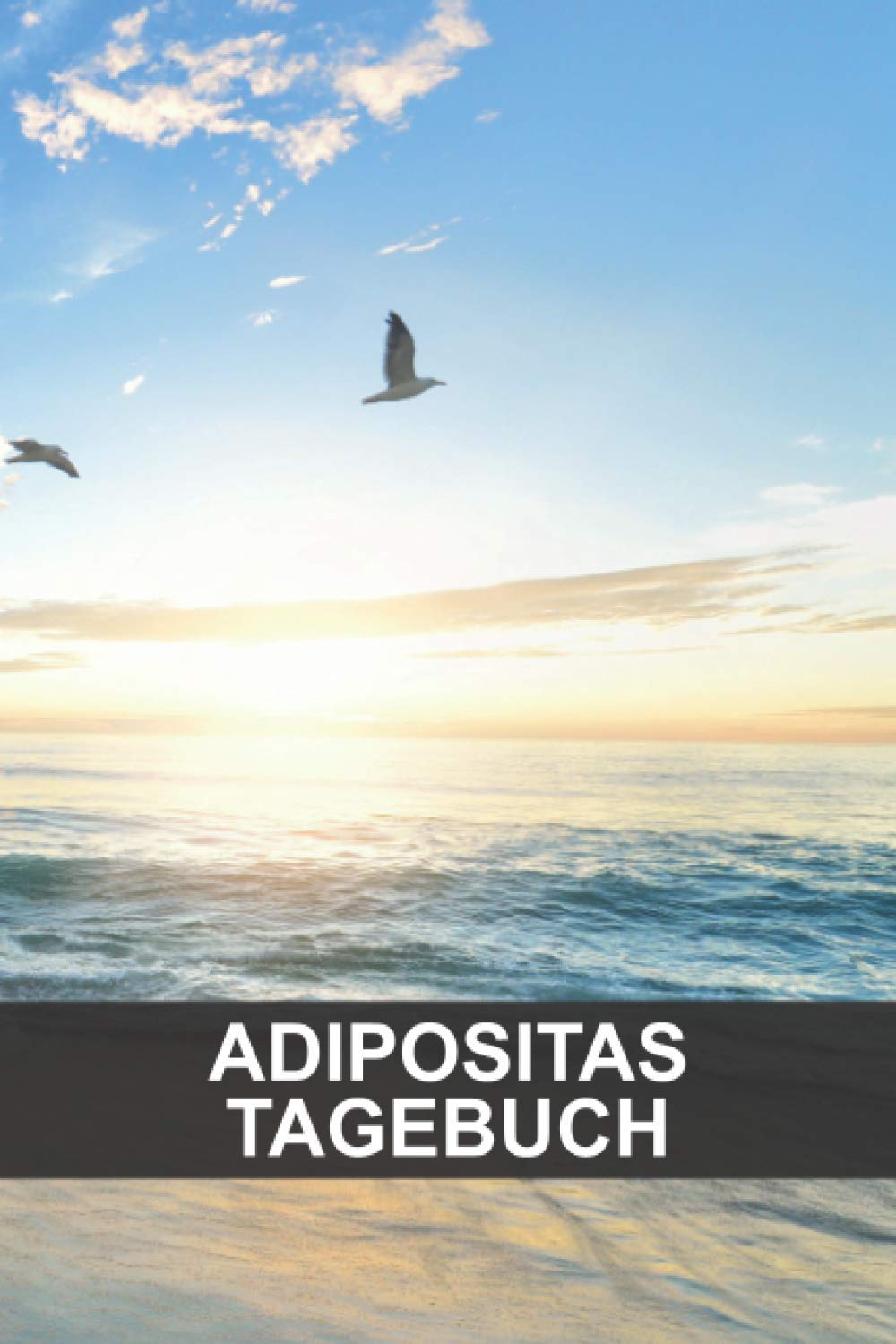 Adipositas Tagebuch: Adipositas Ernährungstagebuch zum Abnehmen als Hilfsmittel - 100 Tage zum Ausfüllen Health, Nutrition & Fitness