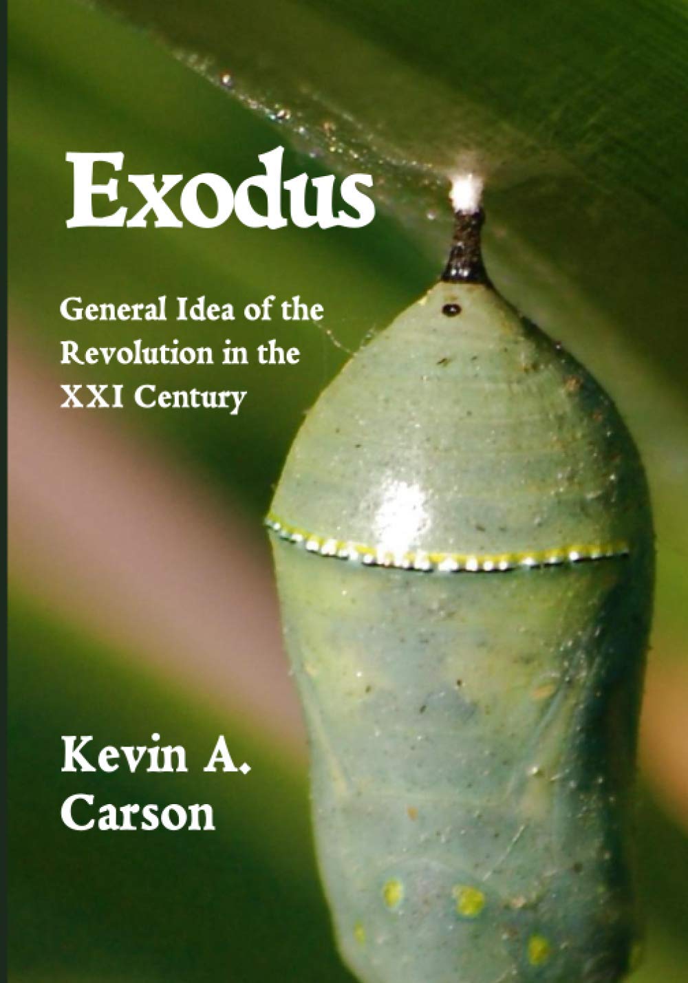 Exodus: General Idea of the Revolution in the XXI Century Social Sciences