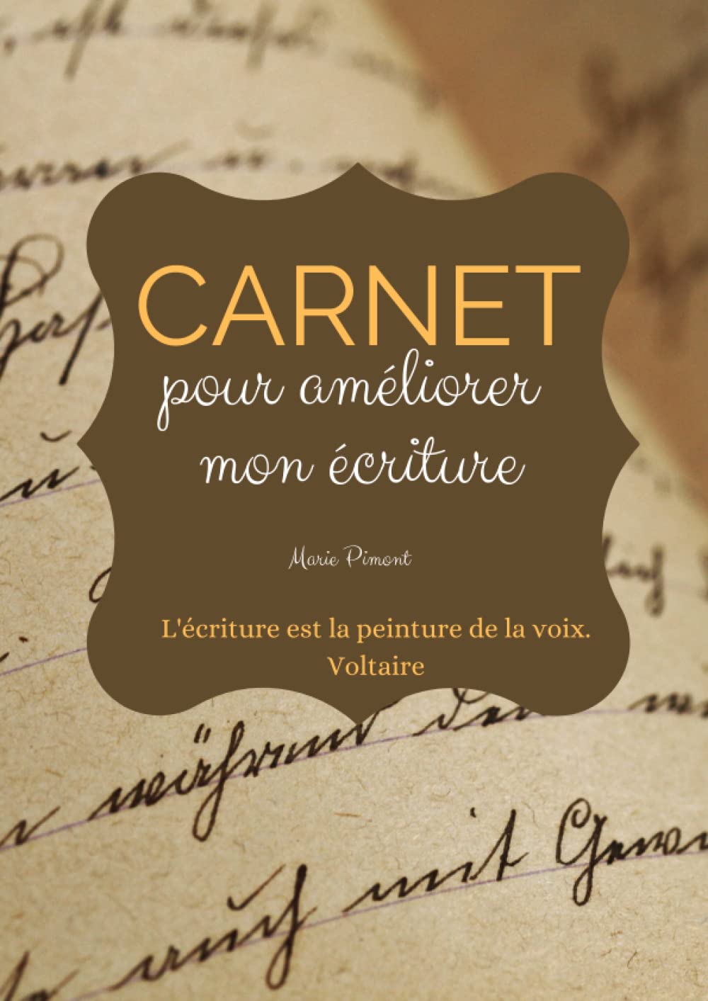 Carnet pour améliorer son écriture: Cahier format A4 pour adultes, conseils, exercices + cas concret, 64 pages embellies book