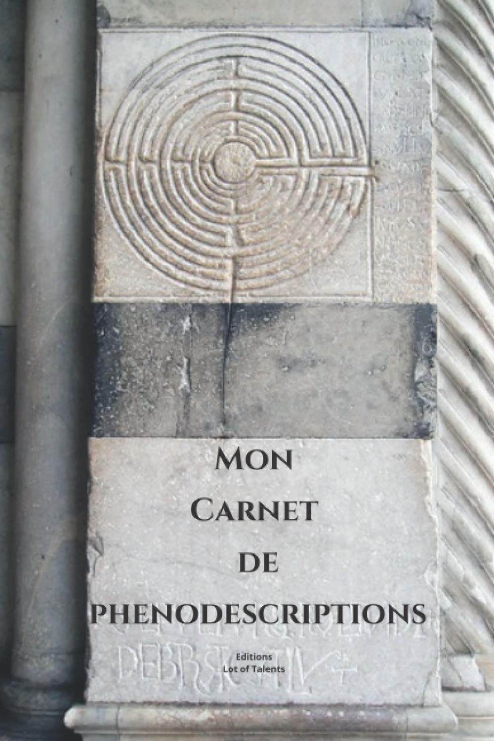 MON CARNET DE PHENODESCRIPTIONS: Carnet destiné aux sophronisants. Permet de noter vos ressentis, vos sensations et vos images pour évoluer. book