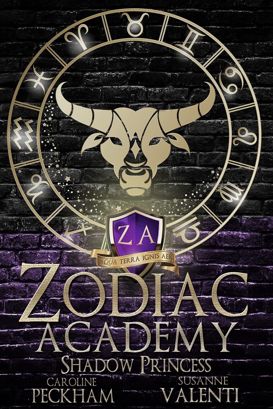 Zodiac Academy 4: Shadow Princess: An Academy Bully Romance Urban Fantasy