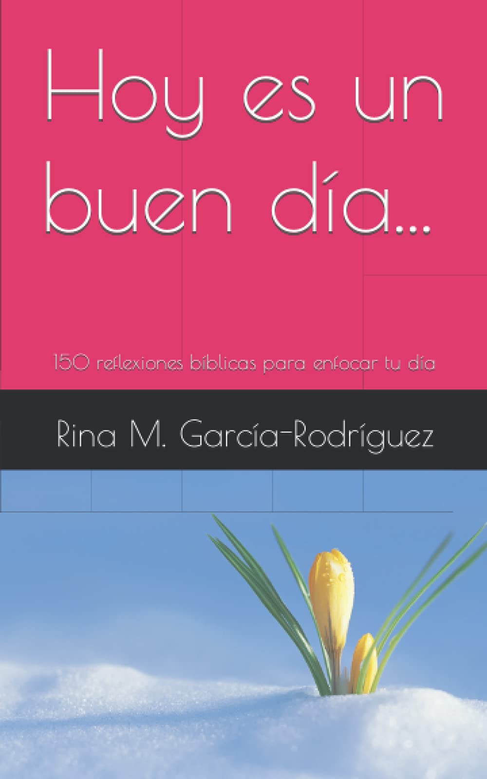 Hoy es un buen día...: 150 meditaciones breves para enfocar y celebrar cada día book