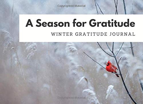 A Season for Gratitude: Winter Gratitude Journal for Kids and Parents (Mindset, Happiness and Gratitude Books, Band 37) Tiptoi & Games