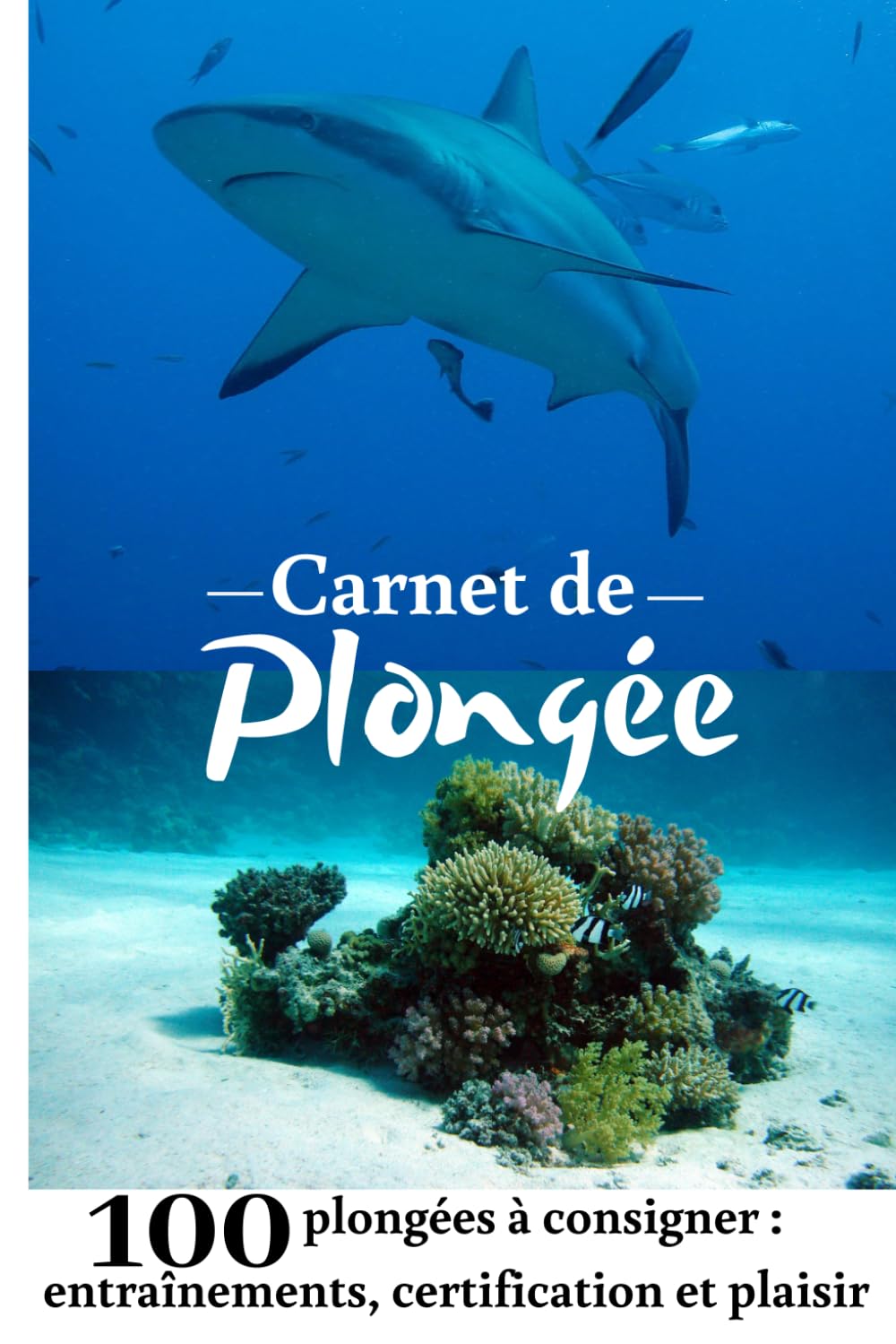 Carnet de plongée: pour consigner 100 plongées sous marine | entraînement, certification et plaisir | dive logbook scuba log book en français | ... plongée pour adulte homme femme ado enfant Leisure & Fun