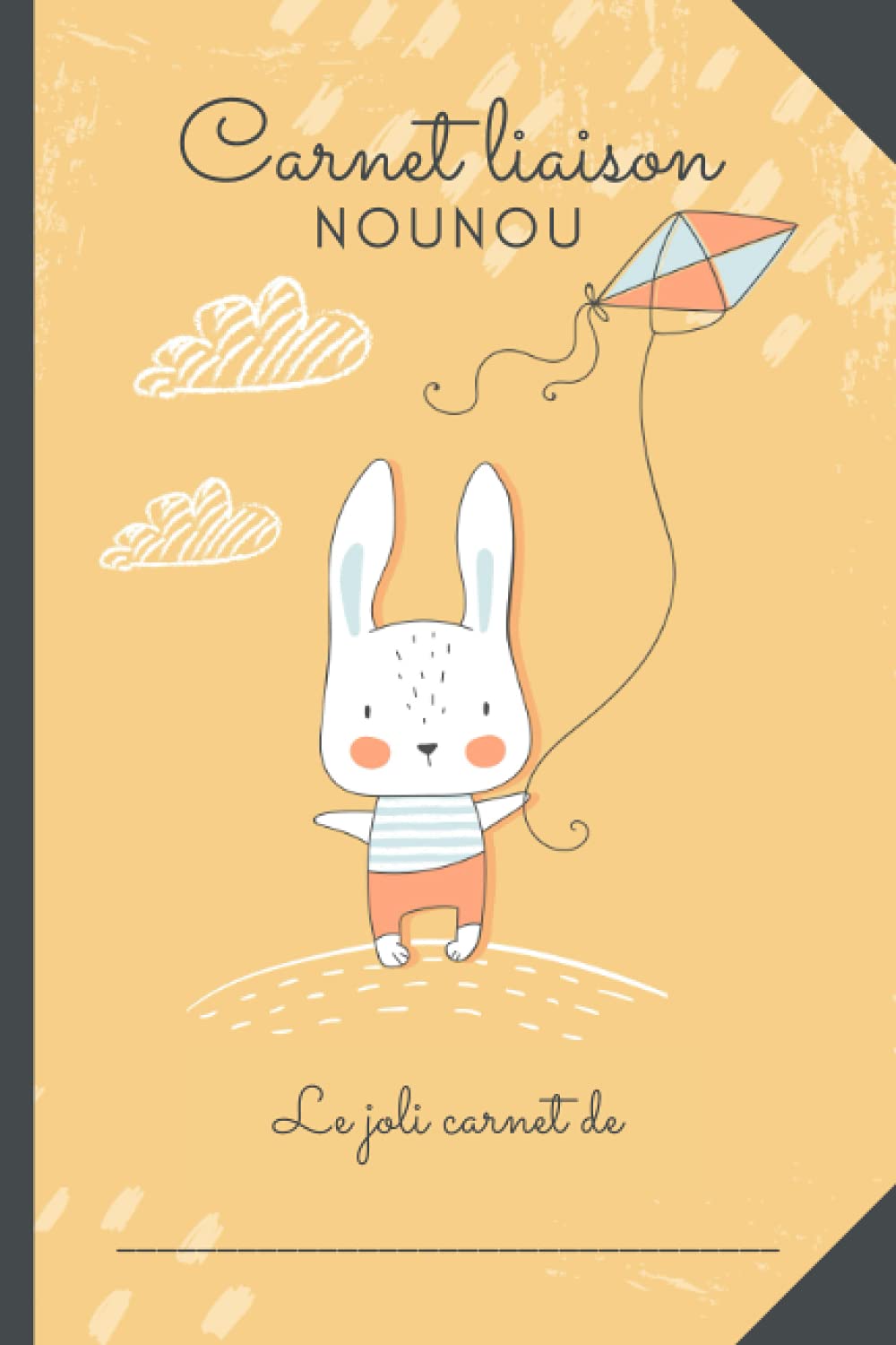 CARNET LIAISON NOUNOU: Cahier de transmission nounou/parents pour facilité la communication au quotidien - Journal de bord de bébé sur son lieu ... MAM, baby-sitter, auxiliaire-parentale) book