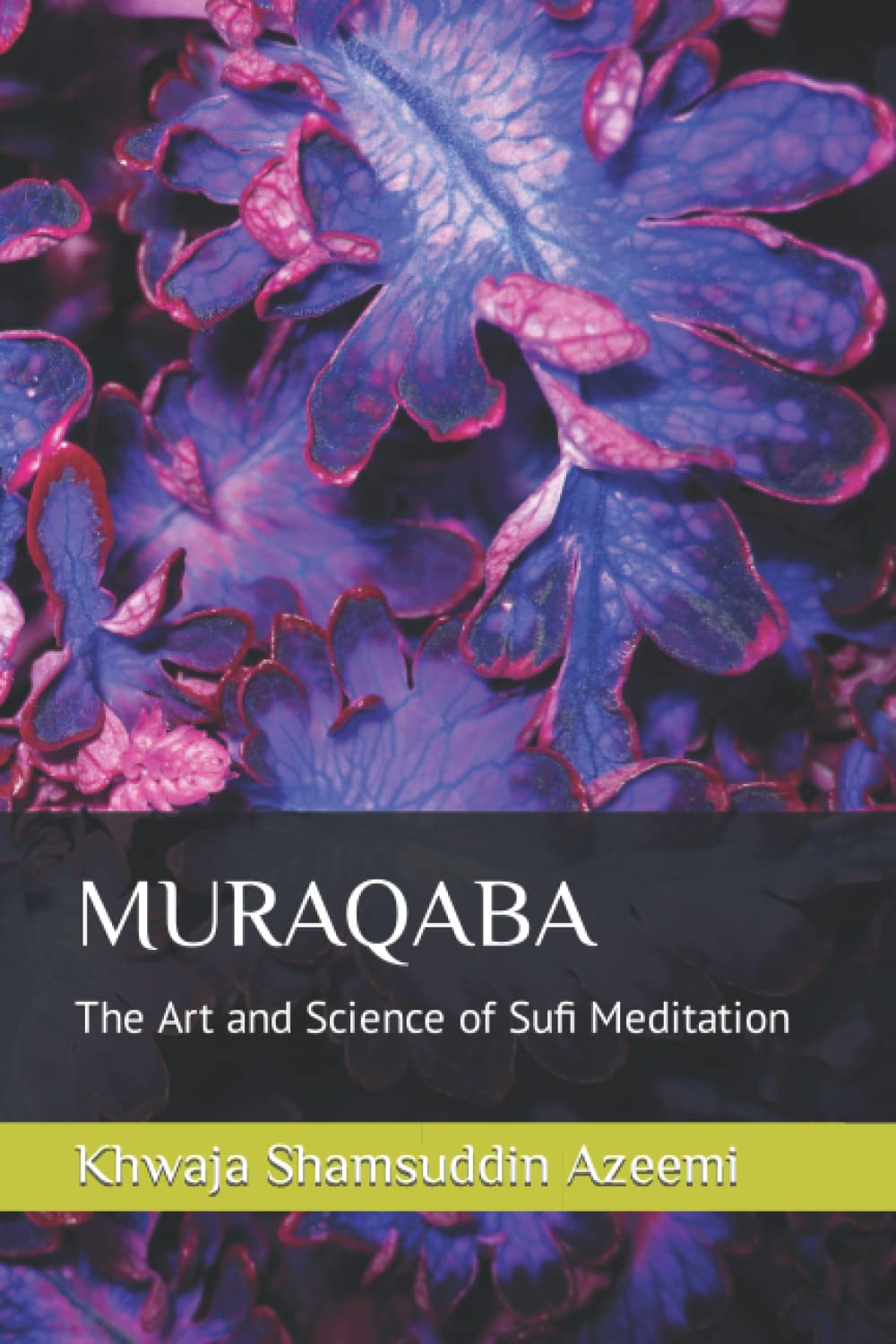 MURAQABA: The Art and Science of Sufi Meditation Lifestyle