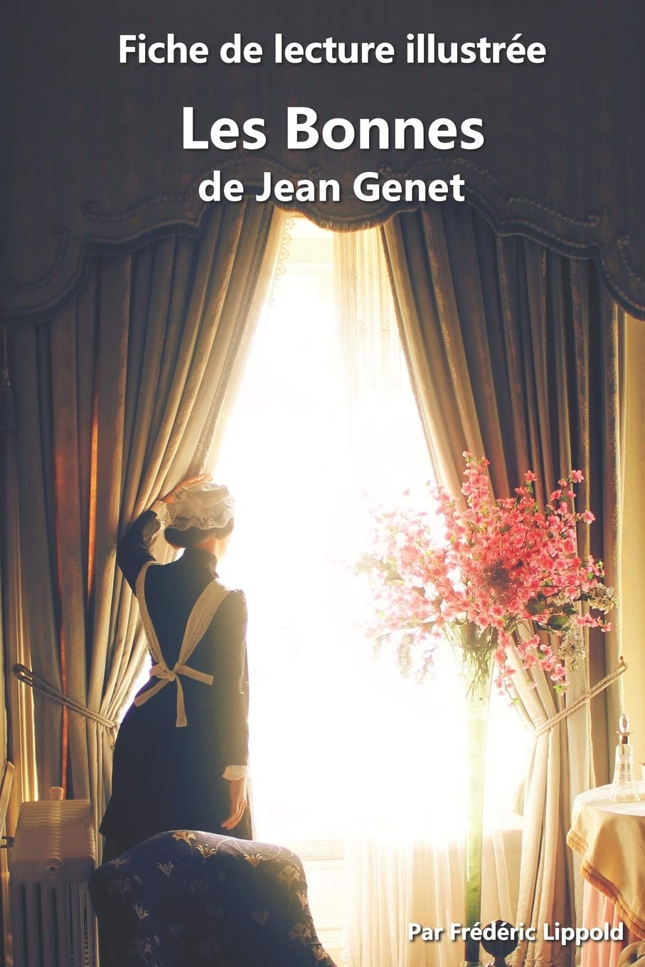 Fiche de lecture illustrée - Les Bonnes, de Jean Genet: Résumé et analyse complète de l'œuvre: Résumé et analyse complète de l'oeuvre Reference Books