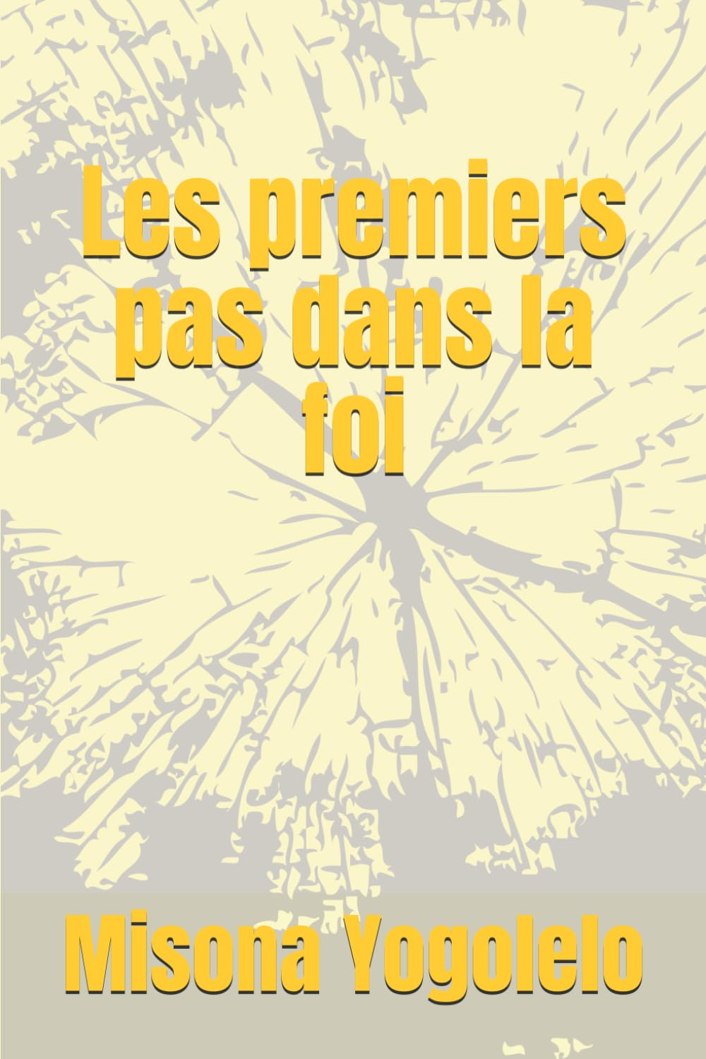 Les premiers pas dans la foi: Un livre pour le nouveau converti book