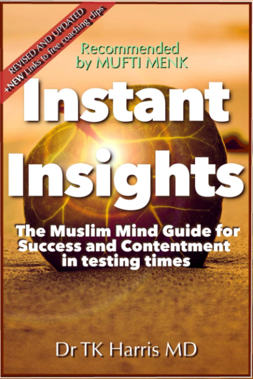 Instant Insights The Muslim Mind Guide: For Success and Contentment in Testing Times book