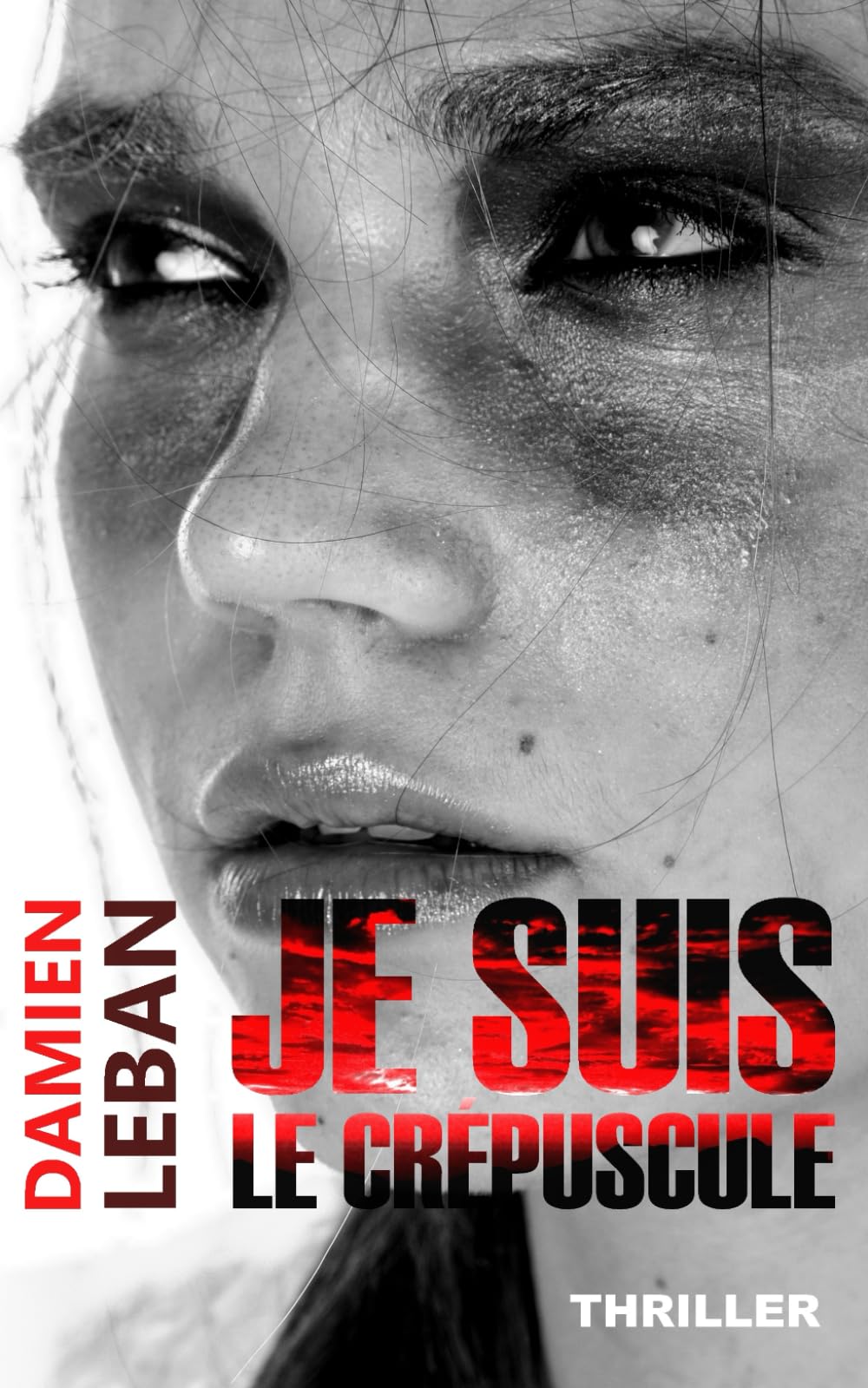 Je suis le crépuscule (Saga du Major Heisen - Enquête de police / Thriller / Suspense) Detective & CSI