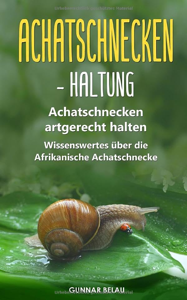 Achatschnecken - Haltung: Achatschnecken artgerecht halten | Wissenswertes über die Afrikanische Achatschnecke Pets