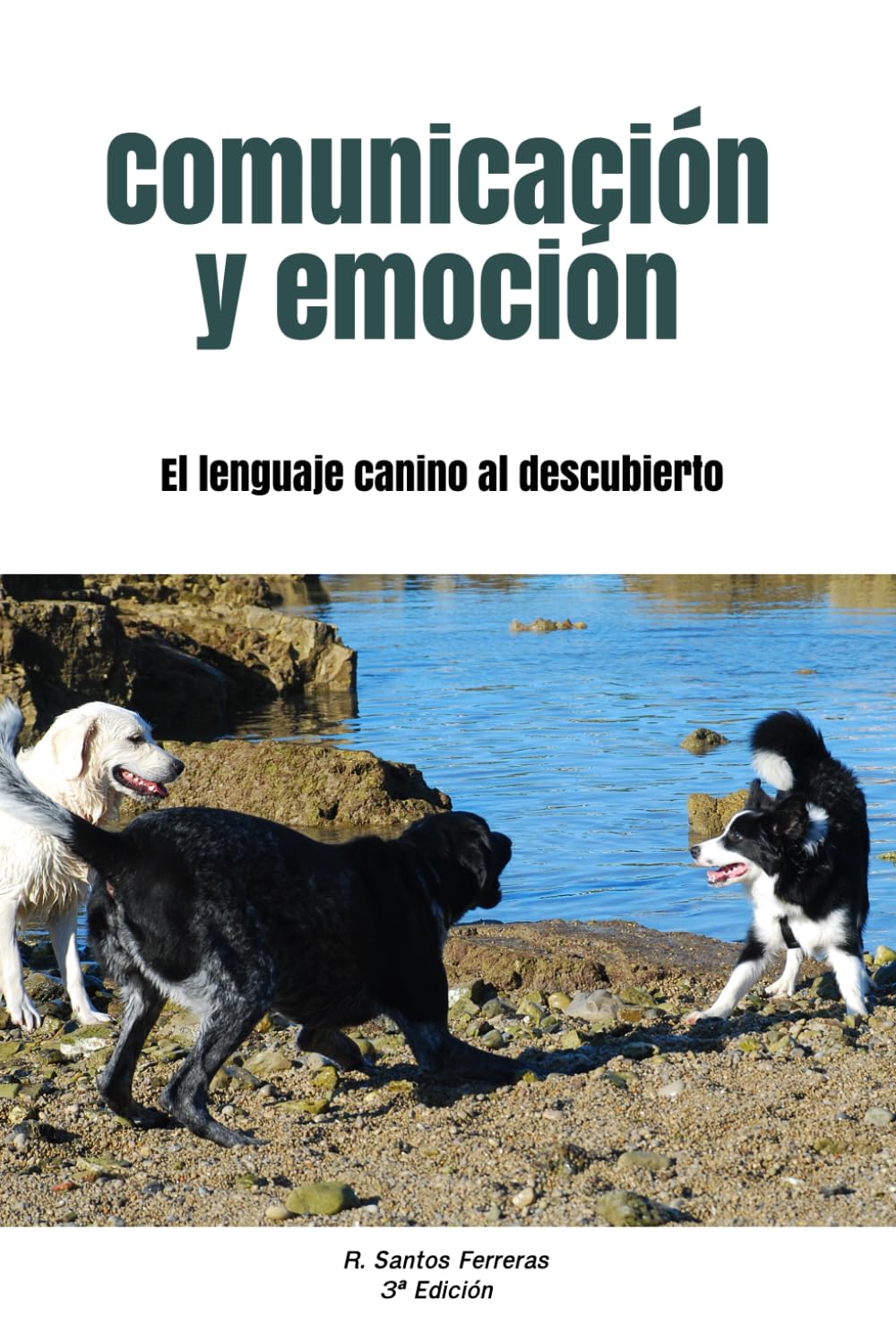 Comunicación y emoción: El lenguaje canino al descubierto Pets