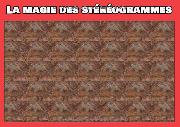 La magie des stéréogrammes: Images en relief book