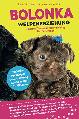 Bolonka Welpenerziehung: Bolonka Zwetna Welpentraining für Einsteiger, Eingewöhnung, Bindung, Stubenreinheit, Erziehung und Futter Home & Household