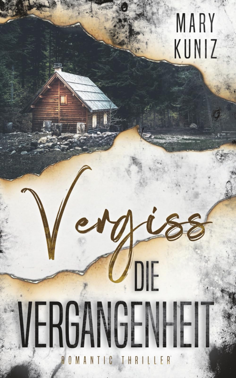 Vergiss die Vergangenheit Contemporary literature