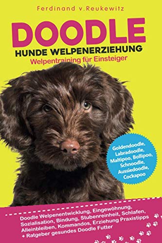 Doodle Hunde Welpenerziehung: Goldendoodle, Labradoodle, Maltipoo, Cockapoo & Co - Buch zum Doodle Welpentraining für Einsteiger - Entwicklung, Bindung, Stubenreinheit, Erziehung Pets