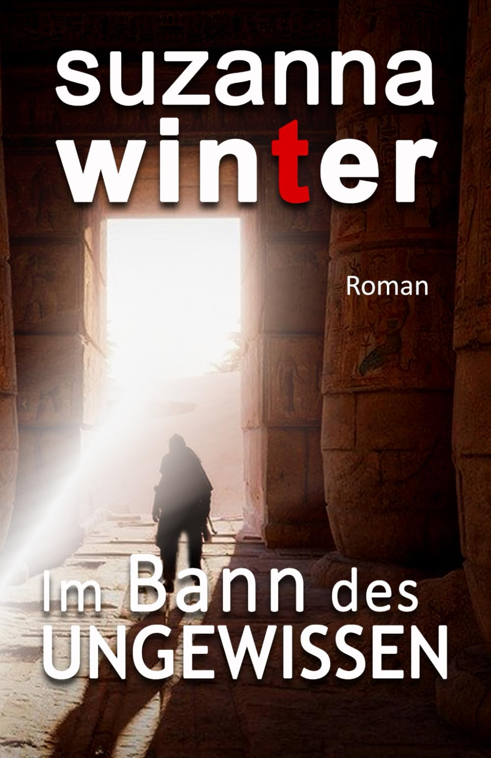 Im Bann des Ungewissen book