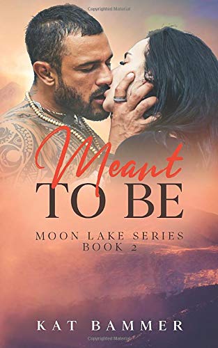 Meant to be: A Sexy Small Town Love Story book