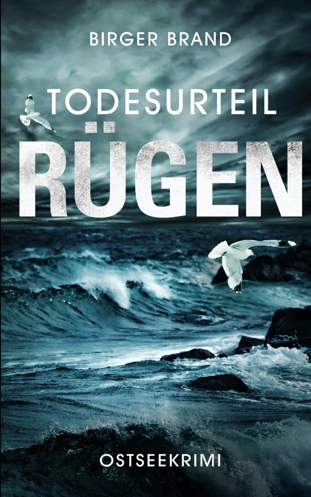 Todesurteil Rügen: Ostseekrimi book