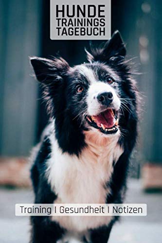 Hundetrainingstagebuch: Border Collie Motiv für Hundeschule und Verein I Hundetraining I Notizen I Impfschutz I Gesundheitscheck I 110 Seiten DIN A6 Non-fiction