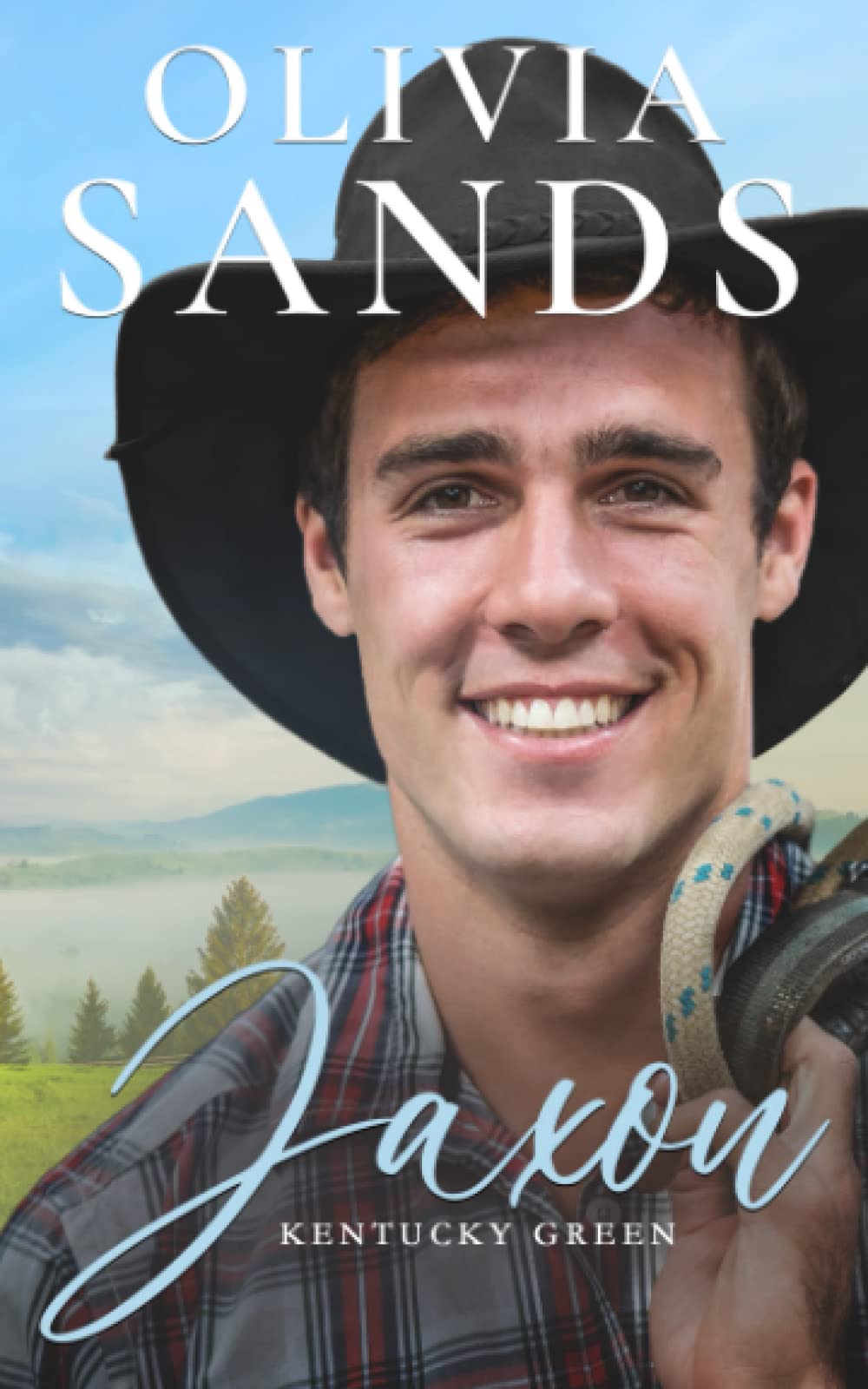 Jaxon (Kentucky Green, a Heartwarming Contemporary Cozy Small Town Romance Series., Band 2) Contemporary Romance