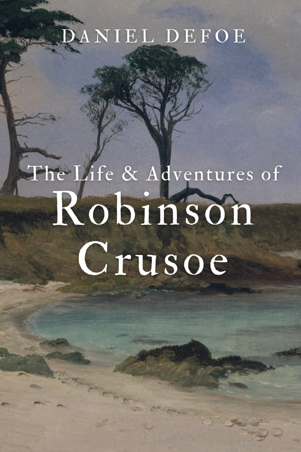 The Life & Adventures of Robinson Crusoe book