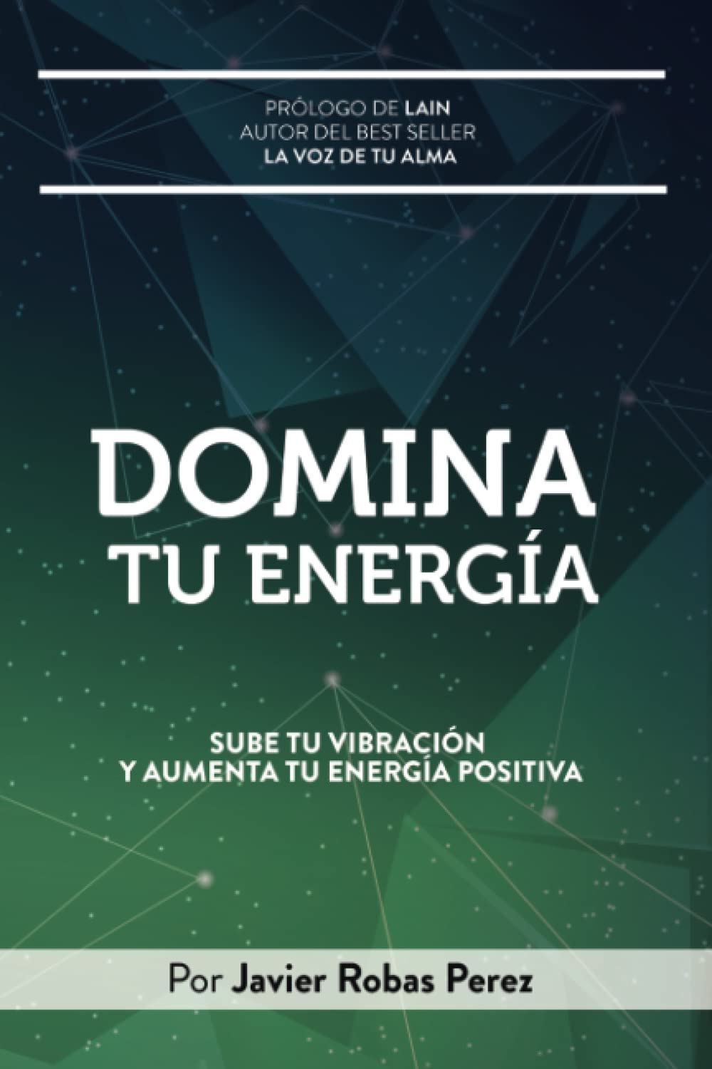 DOMINA TU ENERGIA: Sube tu vibración y aumenta tu energía positiva book