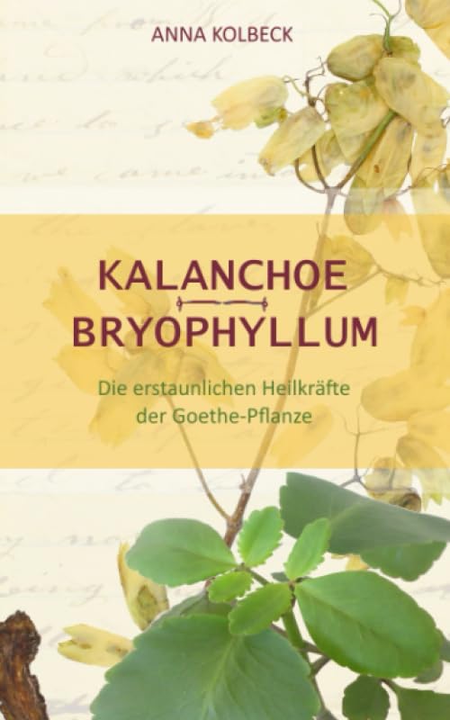 Kalanchoe - Bryophyllum: Die erstaunlichen Heilkräfte der Goethe-Pflanze Medicine