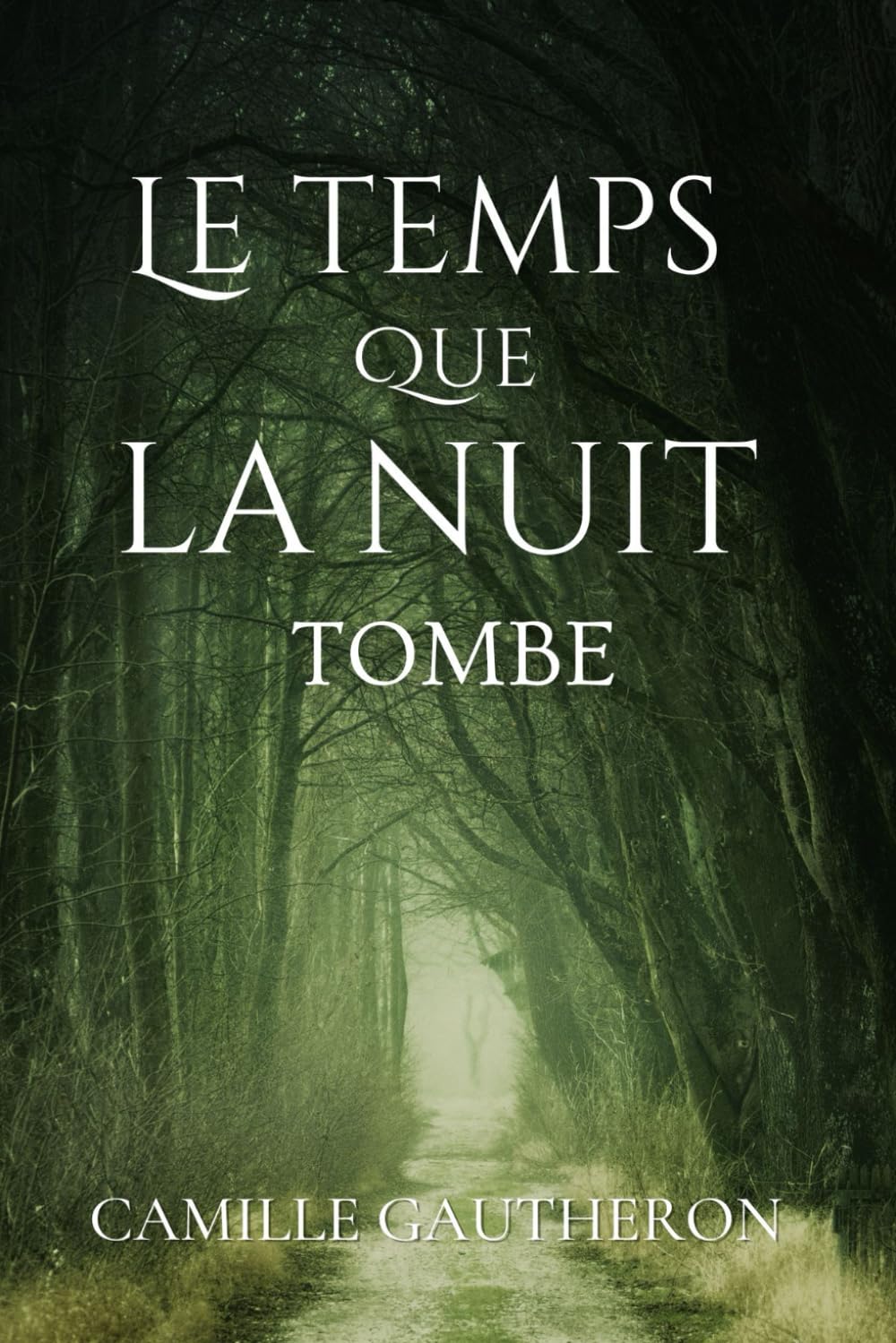 Le temps que la nuit tombe: Recueil de poèmes Poetry