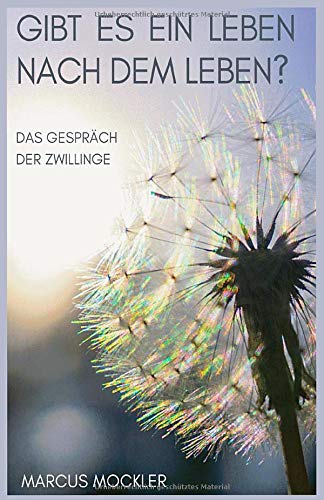 Gibt es ein Leben nach dem Leben?: Das Gespräch der Zwillinge Philosophy