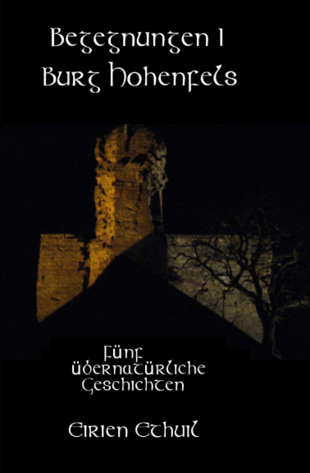 Begegnungen I: Burg Hohenfels: Fünf übernatürliche Geschichten. Contemporary literature