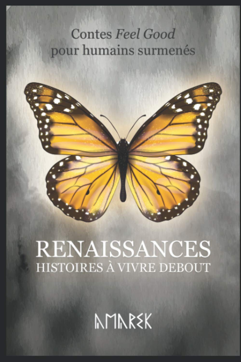 RENAISSANCES: HISTOIRES A VIVRE DEBOUT Contemporary literature