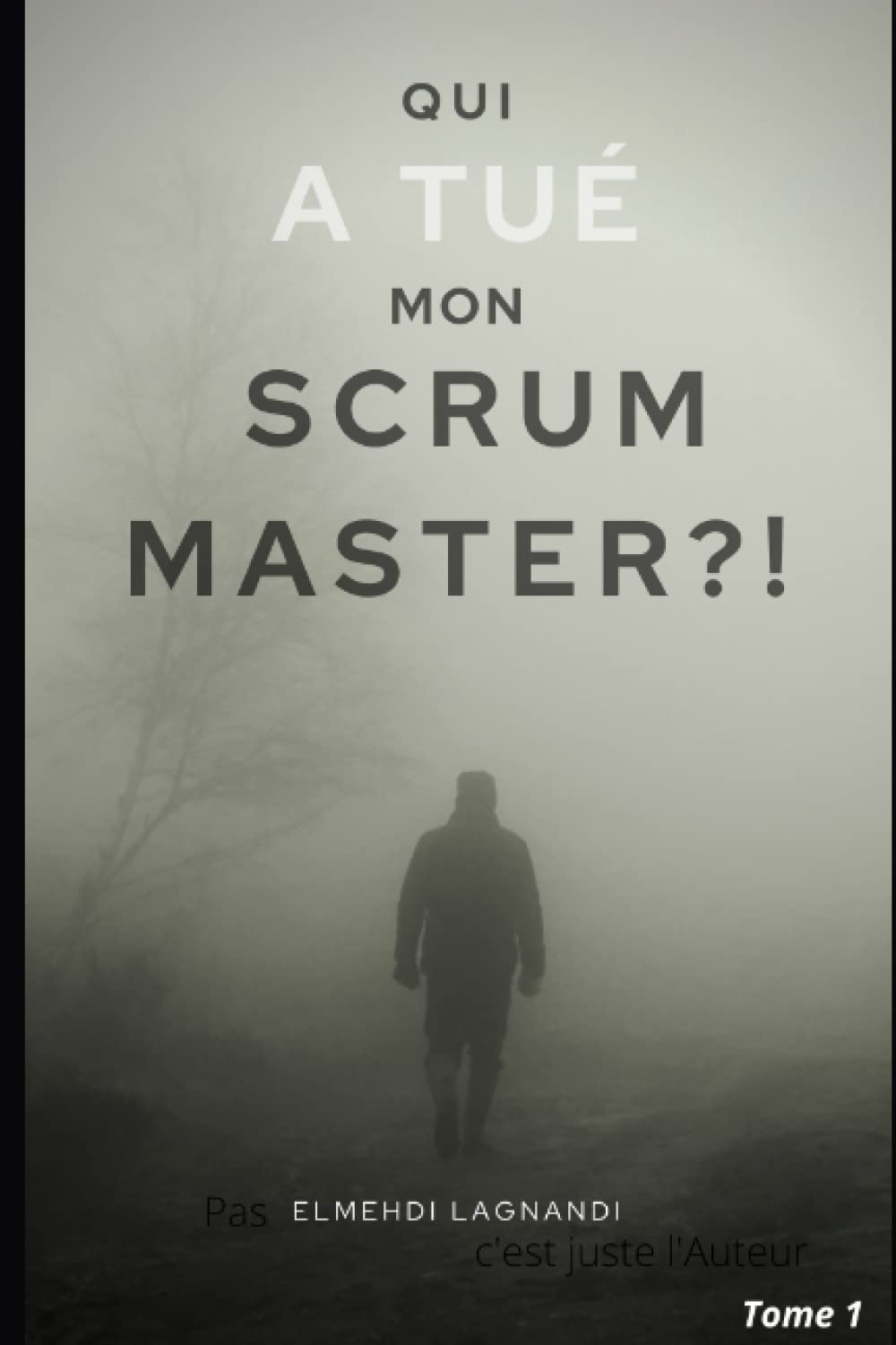 Qui a tué mon Scrum Master ?!: Le polar à lire avant de vous engager dans une transformation agile book