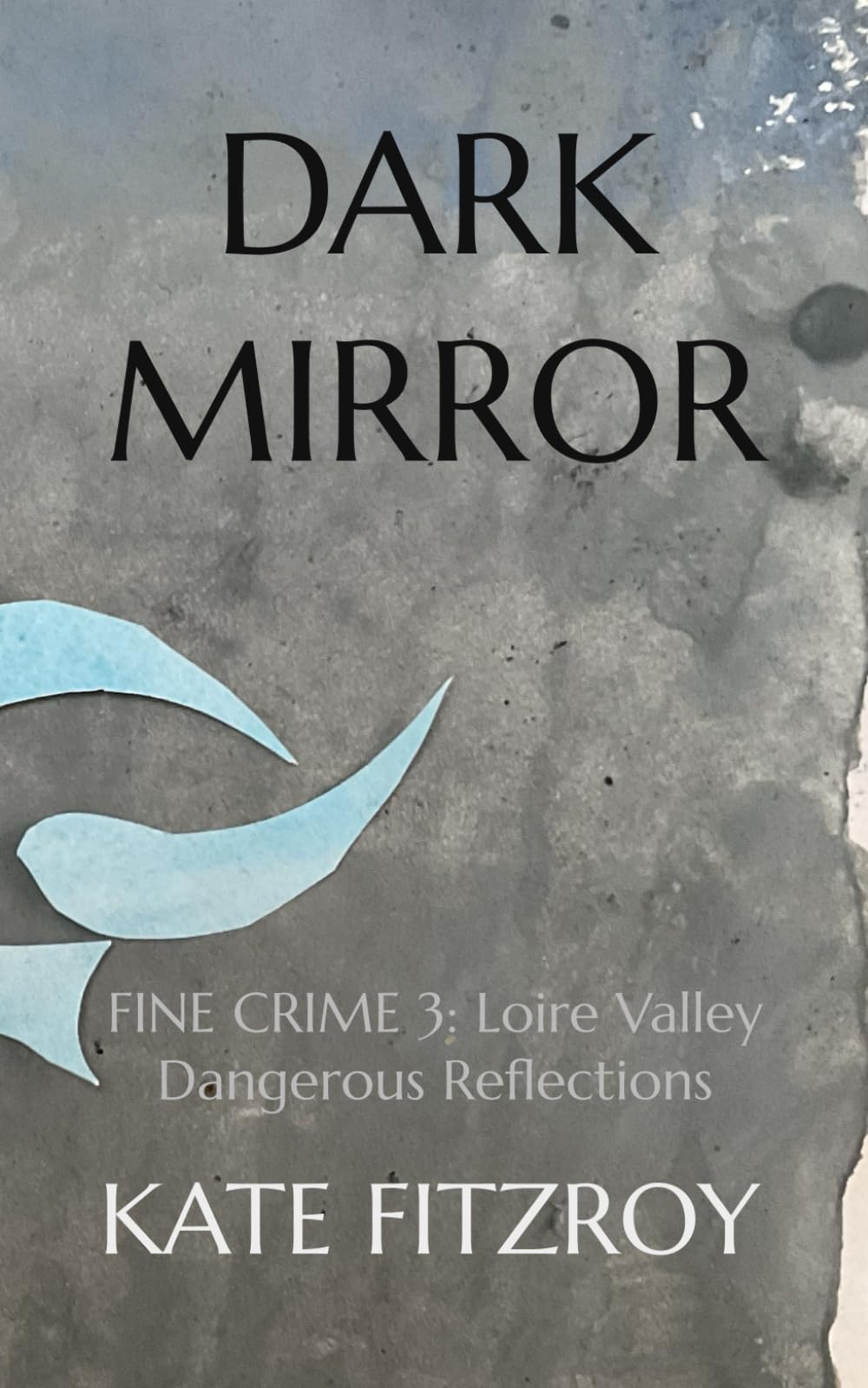 DARK MIRROR: FINE CRIME 3: Loire Valley Dangerous Reflections Contemporary literature