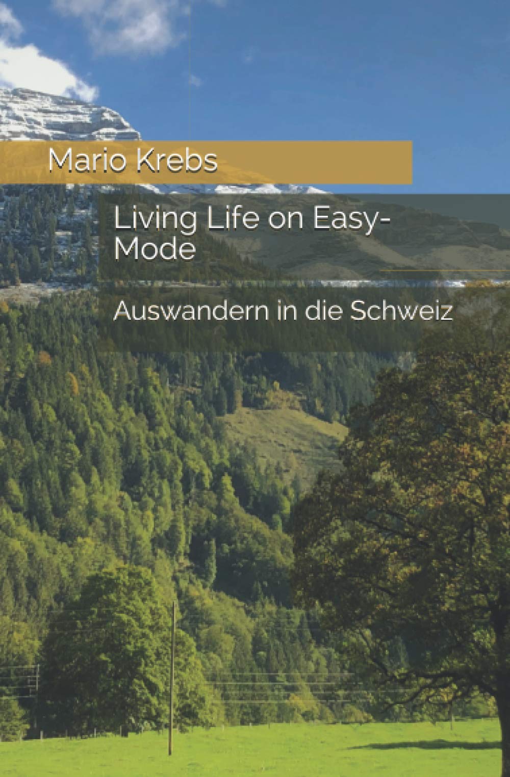 Living Life on Easy-Mode: Auswandern in die Schweiz Business, Finance & Career