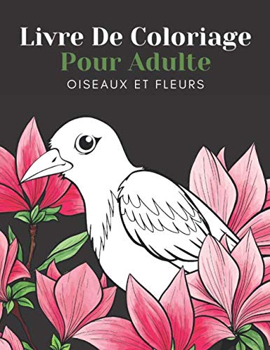 Livre De Coloriage Pour Adulte Oiseaux Et Fleurs: Beaux Grands Dessins Faciles Pour Les Personnes Âgées Et Les Débutants…Livre De Coloriage Pour Les Personnes Âgées Mathematics