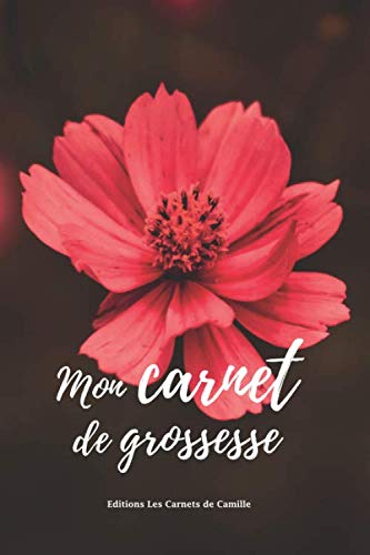 Mon Carnet de grossesse : Journal Personnalisé Cadeau Cahier à Remplir Durant Neufs Mois Bullet journal A Compléter 120 Pages Femme Enceinte Parents book