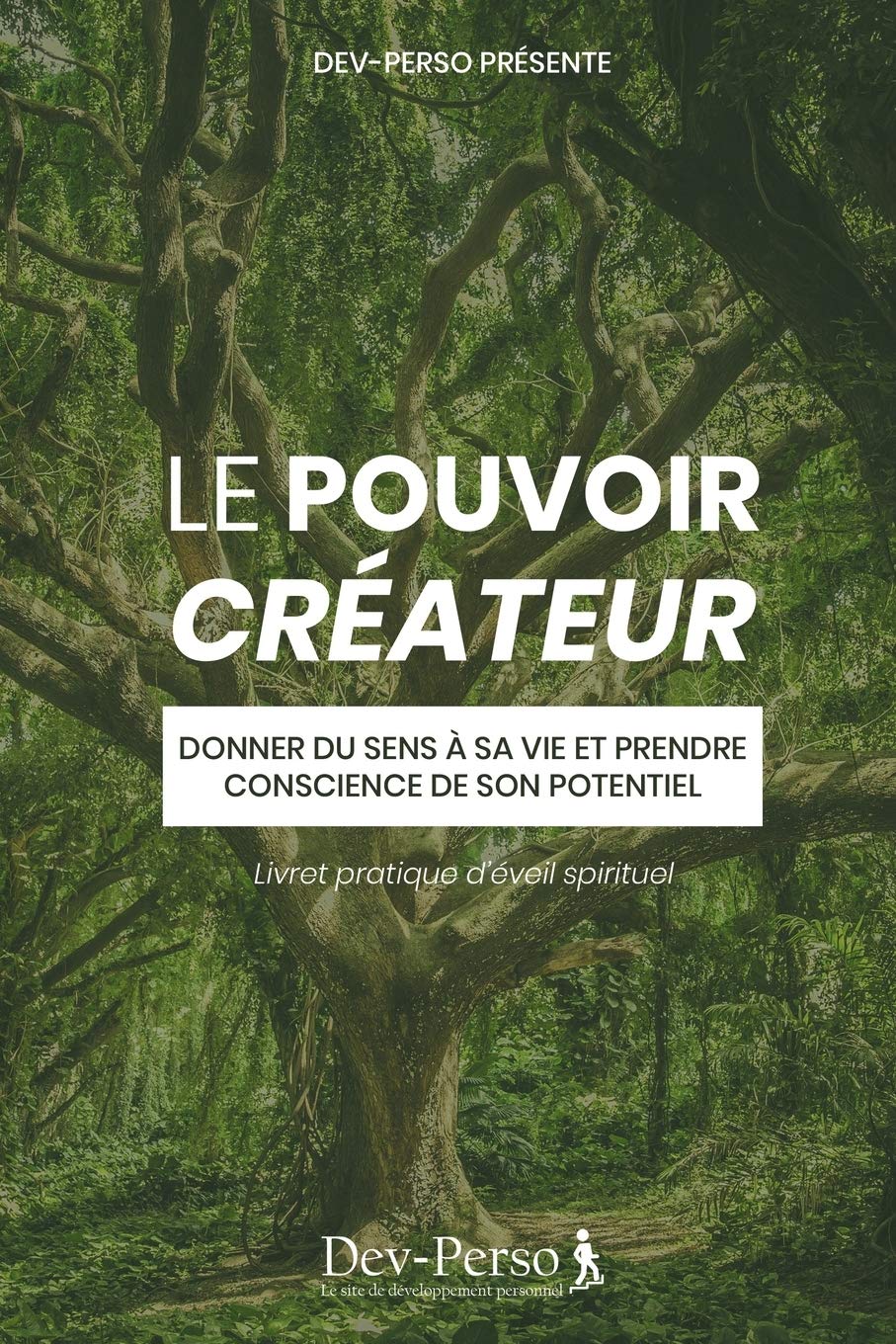 Le Pouvoir Créateur (Livret Pratique d'Eveil Spirituel): Donner du sens à sa vie et prendre conscience de son potentiel (Livret pratique de développement personnel et spirituel) book