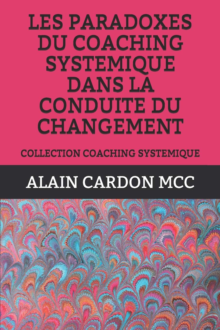 LES PARADOXES DU COACHING SYSTEMIQUE DANS LA CONDUITE DU CHANGEMENT: COLLECTION COACHING SYSTEMIQUE Business, Finance & Career